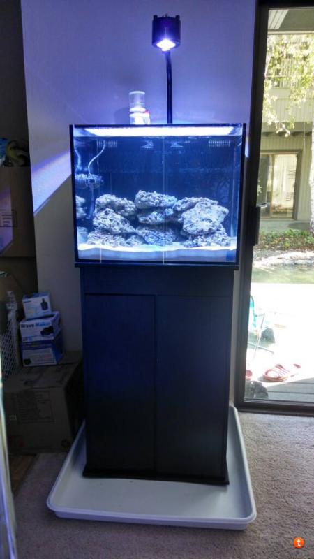 Innovative Marine Aquarium