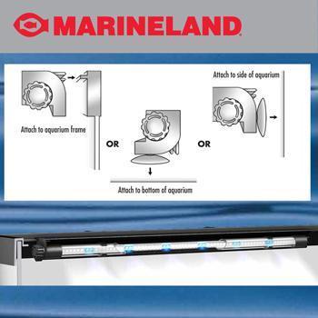 Marineland Hidden Led