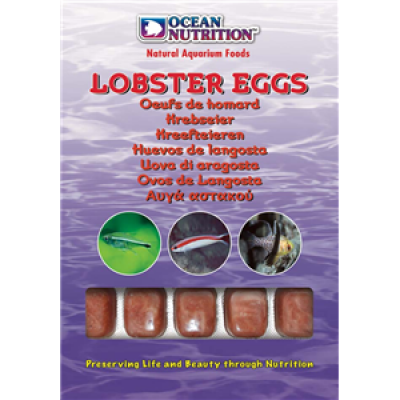 Ocean Nutrition Frozen Lobster Eggs