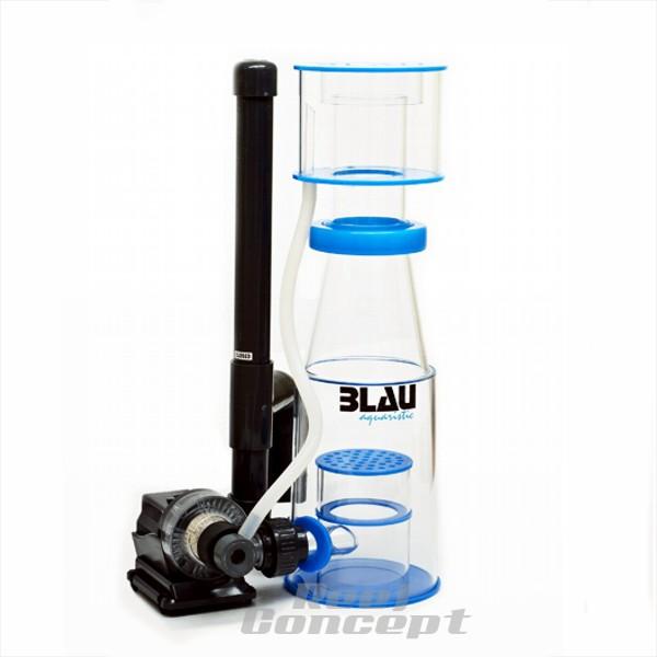 Blau Aquaristic Xcuma