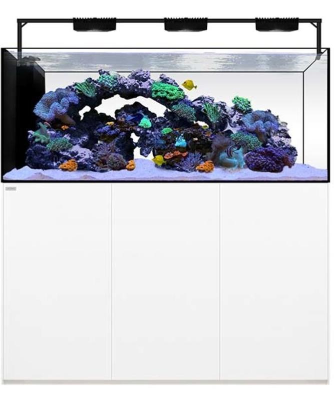 Waterbox Aquarium