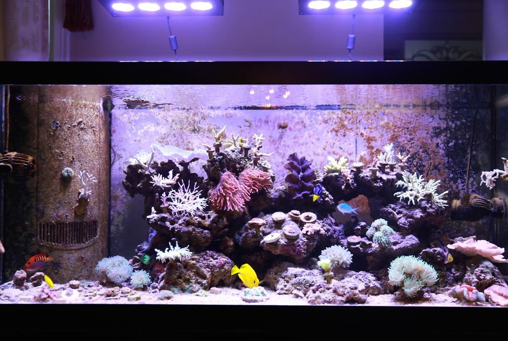 Tank View 2015/01