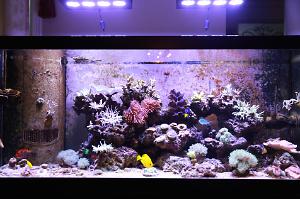 Tank View 2015/01