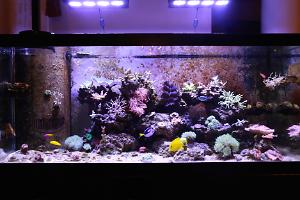 Tank View 2015/02