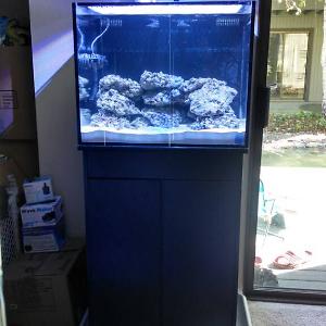 Innovative Marine Aquarium