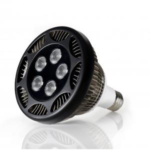 Ecoxotic PAR38 LED