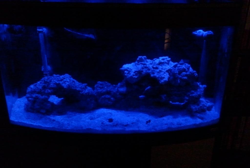 FTS Moonlight December 1, 2012