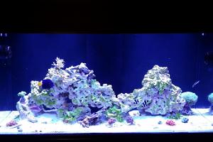 100 gallon Thumbnail