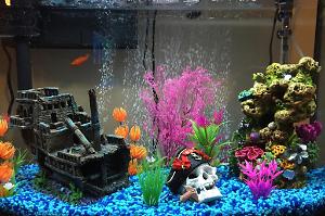 36 Gallon Bow Front - Living Room  Thumbnail