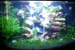 Waterfall Tank Thumbnail