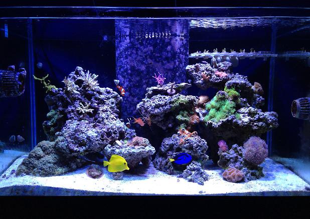 FTS February 2, 2013