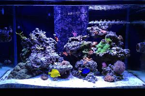 FTS February 2, 2013