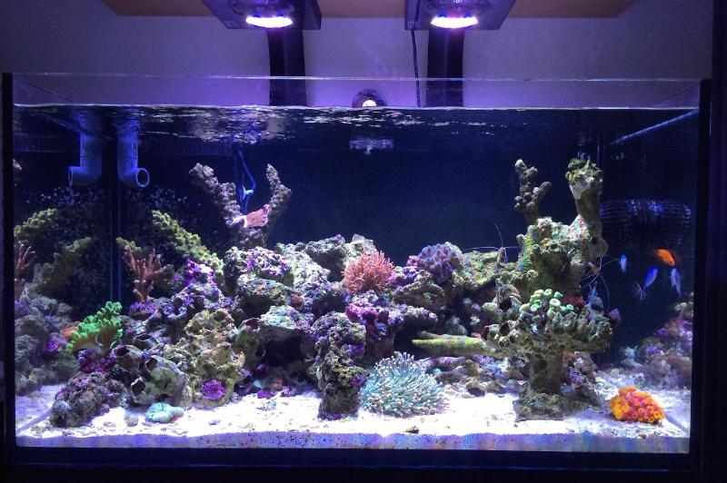 Triton 270 litre Thumbnail