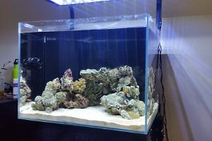 120lt Marine - First Marine Tank - Cycling Thumbnail