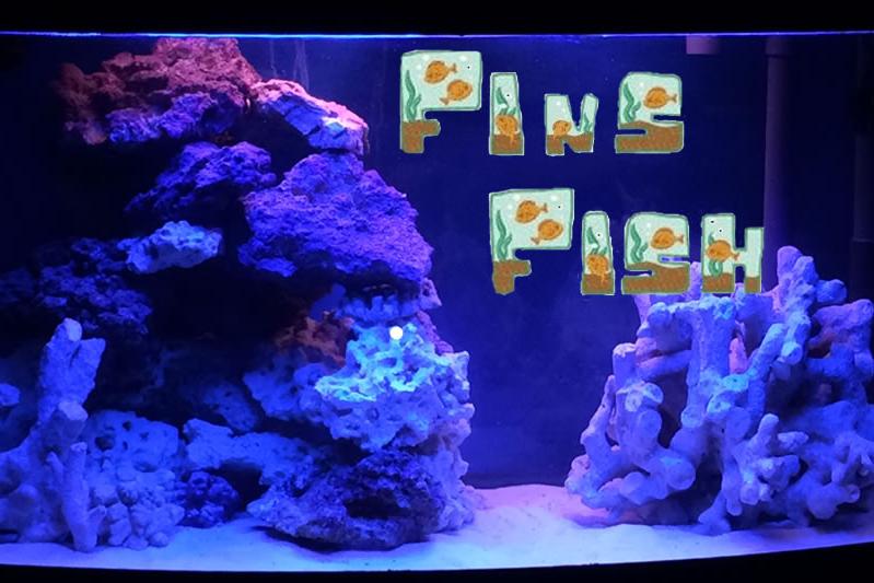 Fin's and Corals Thumbnail