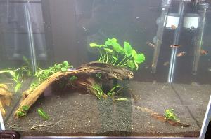 121 Litre Fresh Water Thumbnail