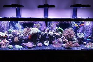 FTS August 2, 2015