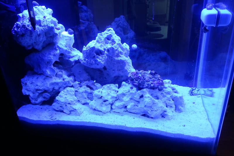 Nano Reef Thumbnail