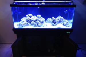 New Reef 75g Thumbnail