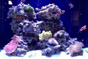 Innovative Marine 38 Gallon Thumbnail