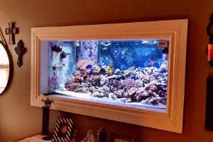 250 Gallon In-Wall Reef Thumbnail