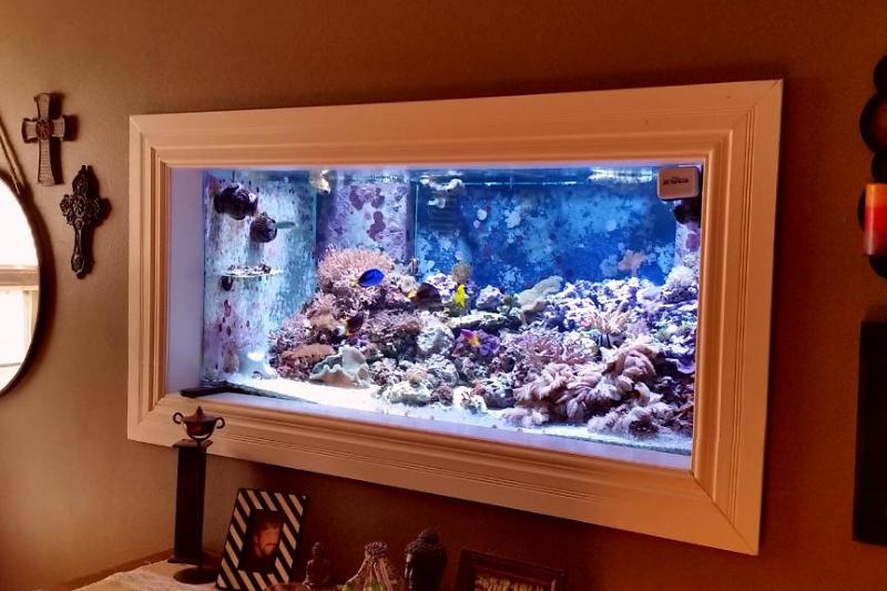 250 Gallon In-Wall Reef Thumbnail