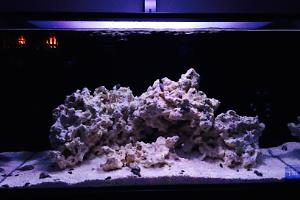 Onnie's Nano Reef Thumbnail