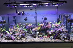 FTS - After the re-scape