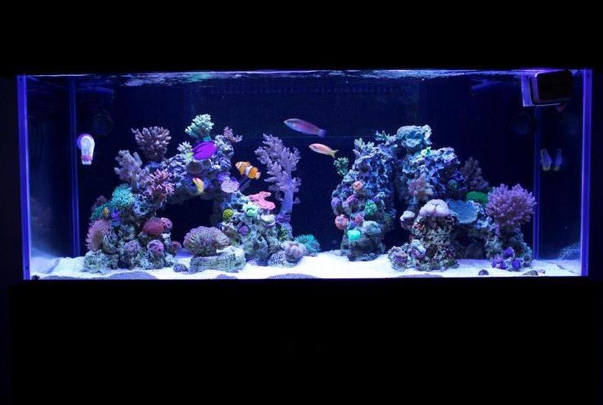 FTS August 29th 2014