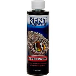 Kent Essential Elements