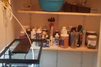 Small Fish Room With Quarantine Tank November 7, 2015