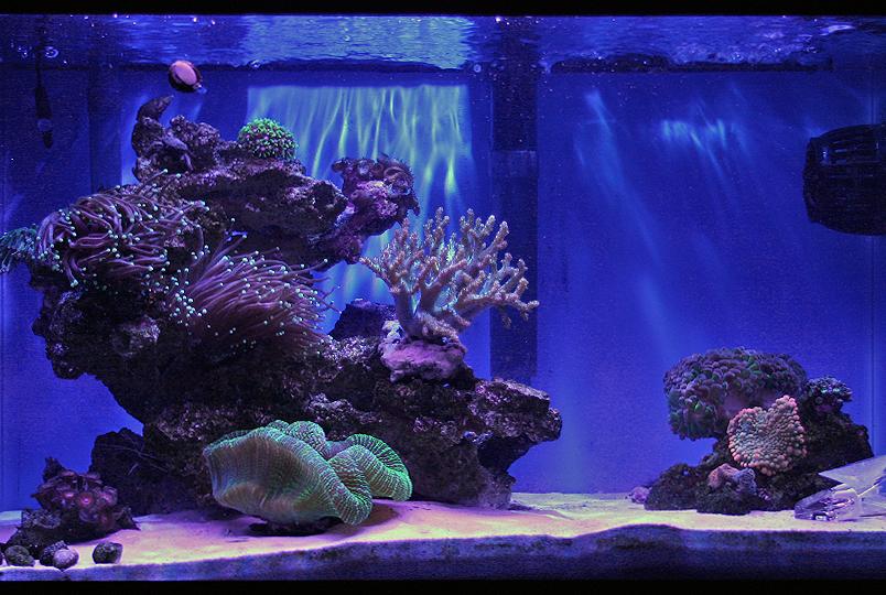 FTS Nov, 2015