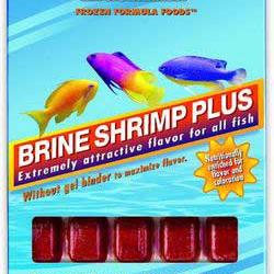 Ocean Nutrition Frozen Brine