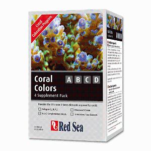 Red Sea Coral Colors