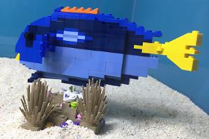 LEGO Regal Tang Thumbnail