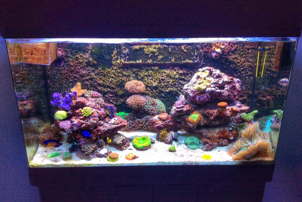 FTS Jan 3rd 2016