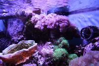 2016-01-30 - Upper Tank View