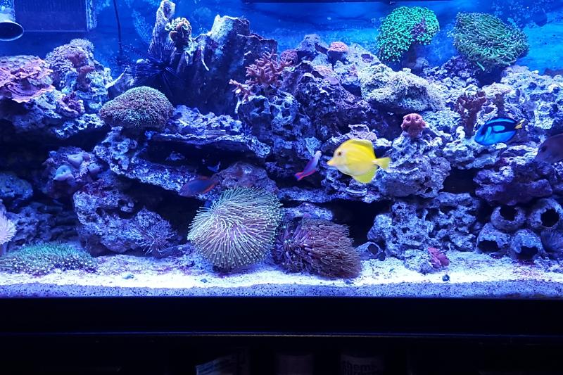 75 Gal Thumbnail