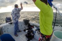 Diving for my rock with Mr Tampa Bay Saltwater!