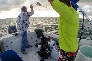 Diving for my rock with Mr Tampa Bay Saltwater!