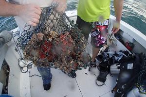 Diving for my rock with Mr Tampa Bay Saltwater!