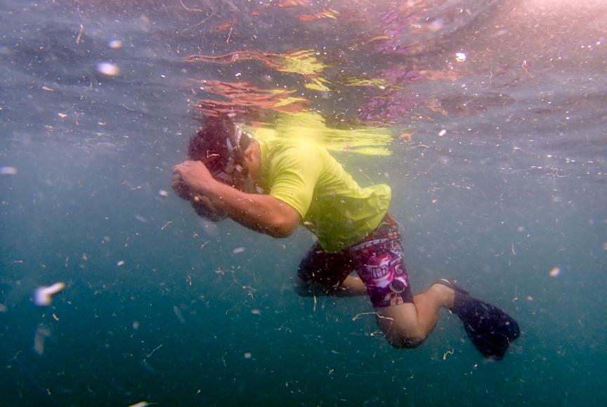 Diving for my rock with Mr Tampa Bay Saltwater!