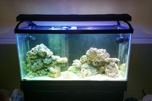 90 Gal Thumbnail