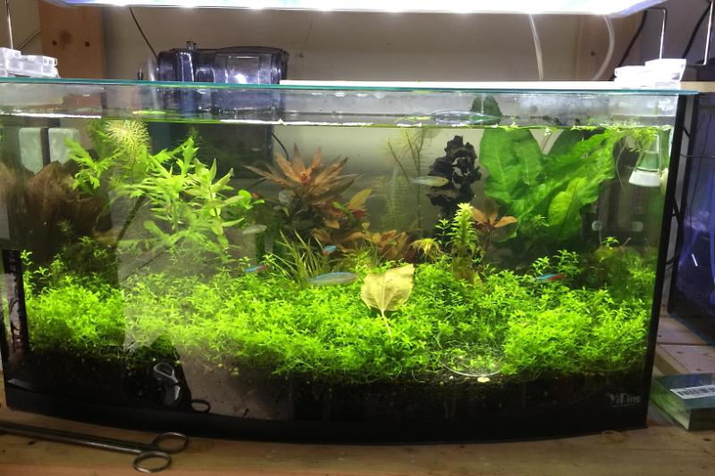 50 L Curved front Thumbnail