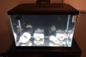 20G Quarantine (QT) Thumbnail