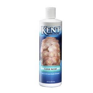 Kent Marine Coral Accel