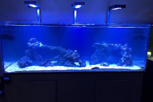 200 Gallon Display Thumbnail