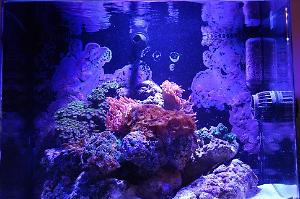 Nuvo 30 Reef Thumbnail