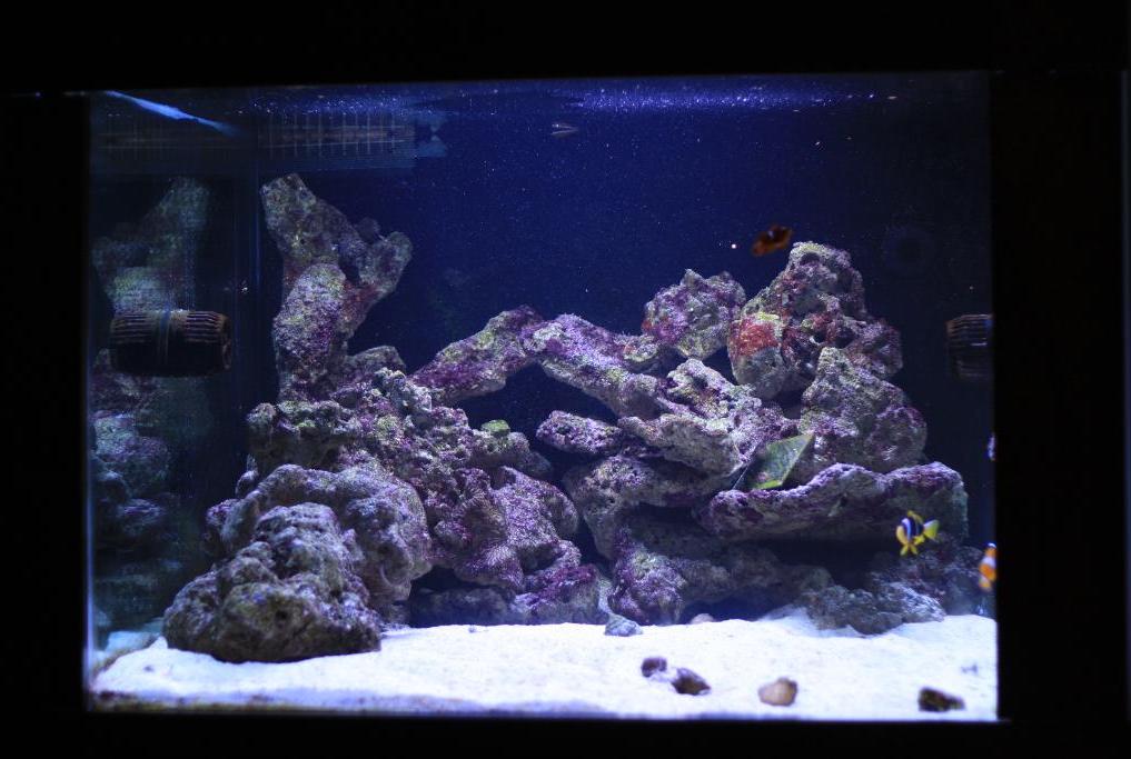 FTS February 28, 2013