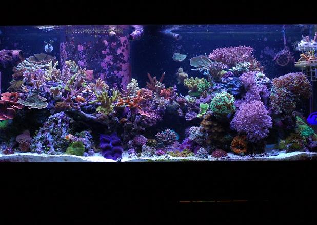 FTS January 8, 2010